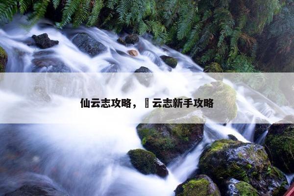 仙云志攻略，拏云志新手攻略