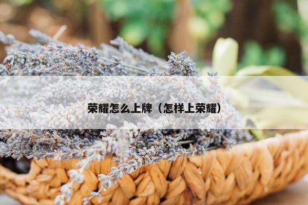 荣耀怎么上牌（怎样上荣耀）