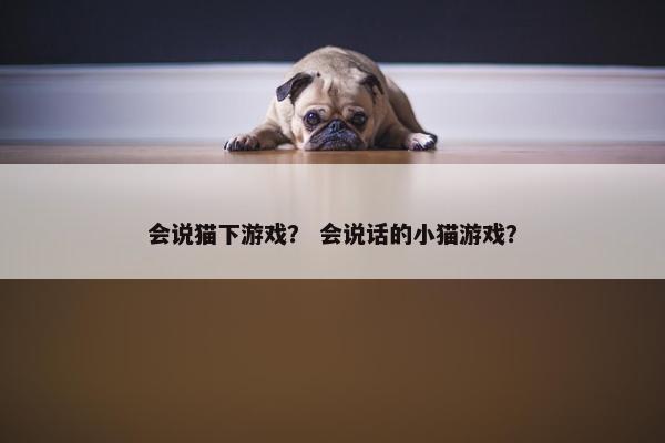 会说猫下游戏？ 会说话的小猫游戏？