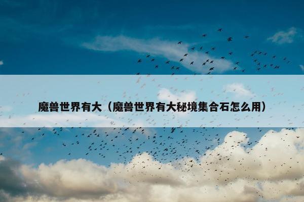 魔兽世界有大（魔兽世界有大秘境集合石怎么用）