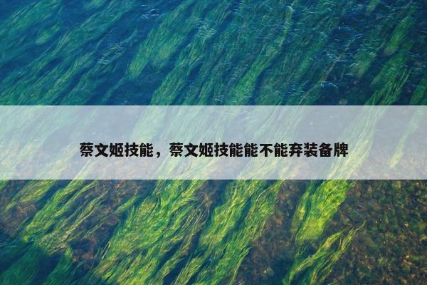 蔡文姬技能，蔡文姬技能能不能弃装备牌