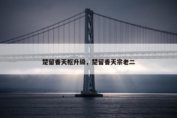 楚留香天枢升级，楚留香天宗老二