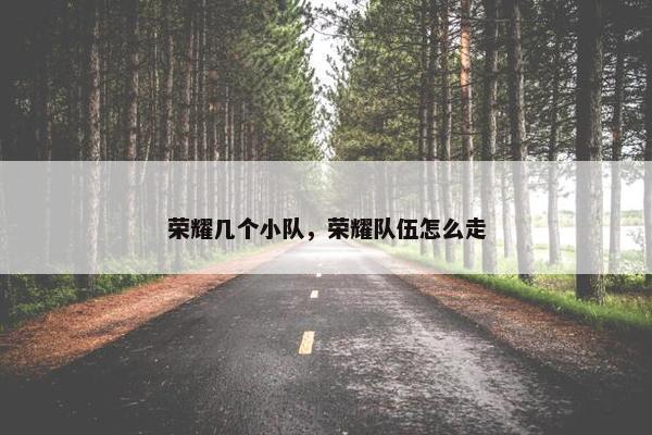 荣耀几个小队，荣耀队伍怎么走