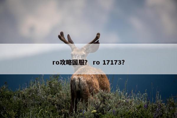 ro攻略国服？ ro 17173？