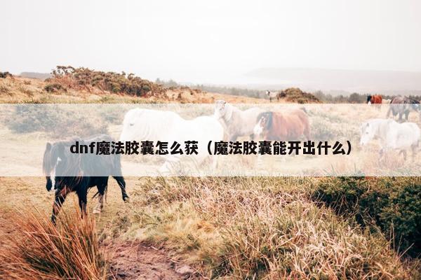dnf魔法胶囊怎么获（魔法胶囊能开出什么）