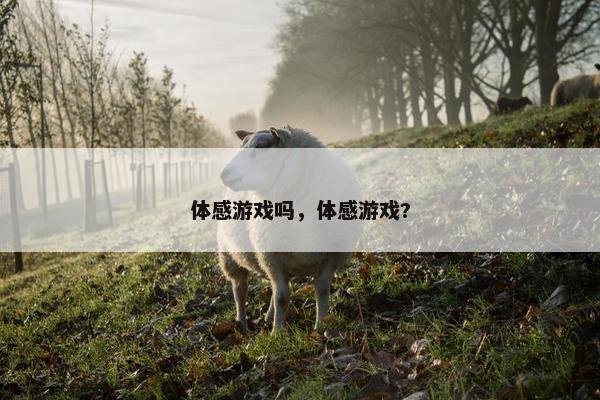 体感游戏吗，体感游戏?