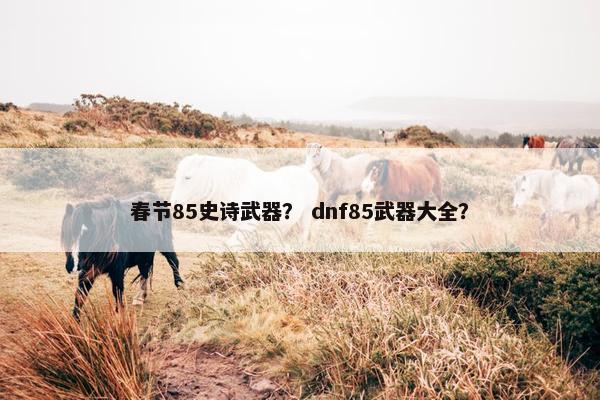 春节85史诗武器？ dnf85武器大全？