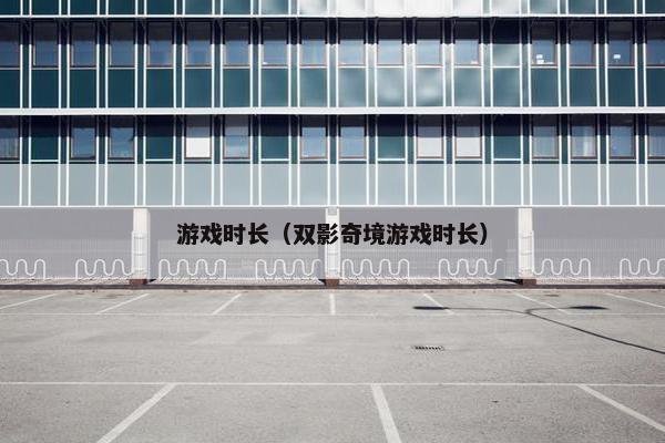 游戏时长（双影奇境游戏时长）