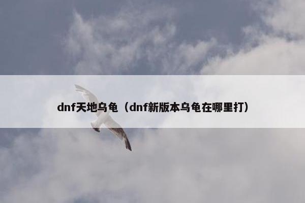 dnf天地乌龟（dnf新版本乌龟在哪里打）
