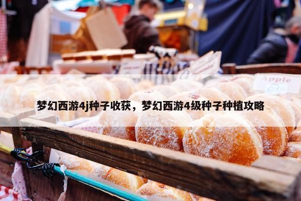 梦幻西游4j种子收获，梦幻西游4级种子种植攻略