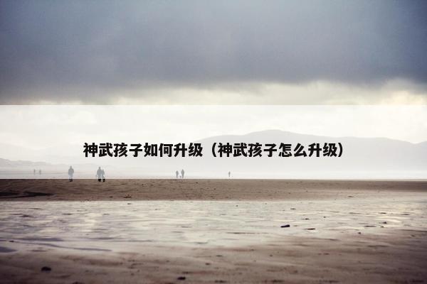 神武孩子如何升级（神武孩子怎么升级）