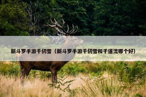 新斗罗手游千仞雪（新斗罗手游千仞雪和千道流哪个好）