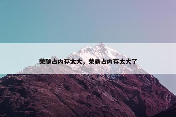 荣耀占内存太大，荣耀占内存太大了