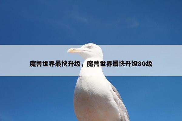 魔兽世界最快升级，魔兽世界最快升级80级