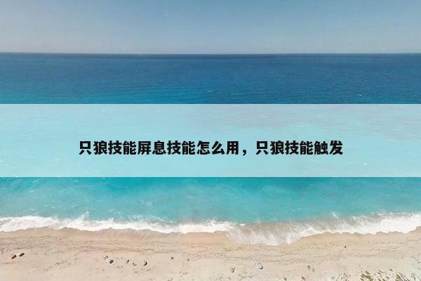 只狼技能屏息技能怎么用，只狼技能触发