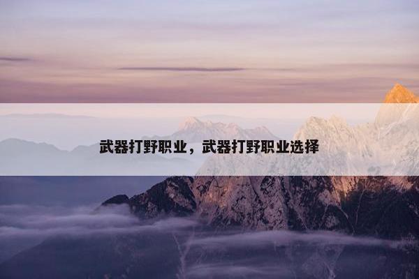 武器打野职业，武器打野职业选择