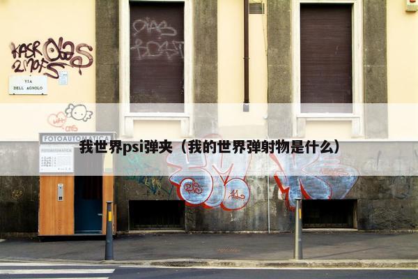 我世界psi弹夹（我的世界弹射物是什么）