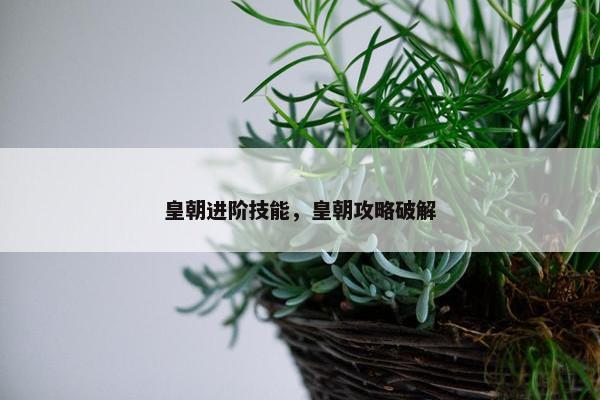 皇朝进阶技能，皇朝攻略破解