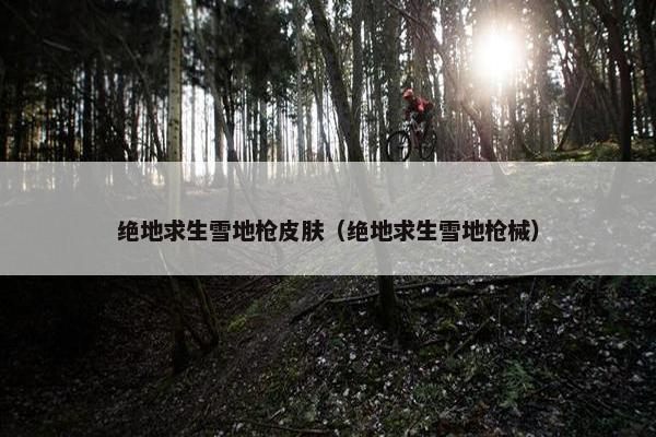 绝地求生雪地枪皮肤（绝地求生雪地枪械）