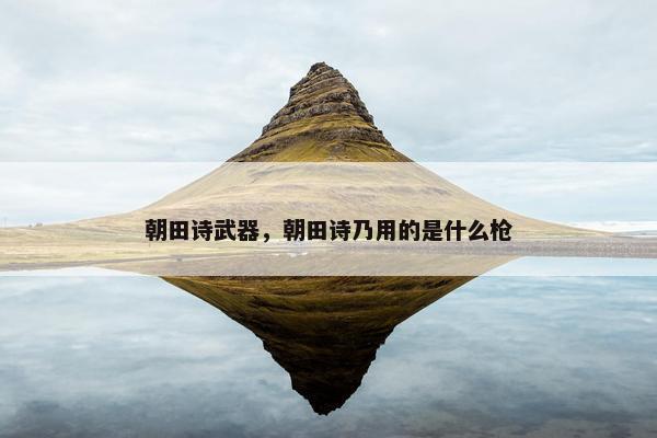 朝田诗武器，朝田诗乃用的是什么枪