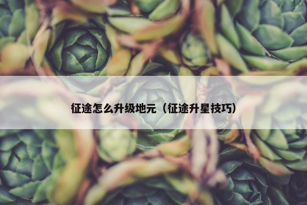 征途怎么升级地元（征途升星技巧）