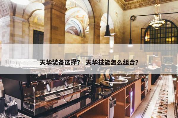 天华装备选择？ 天华技能怎么组合？