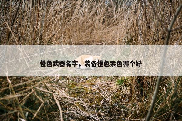 橙色武器名字，装备橙色紫色哪个好