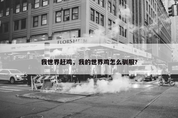 我世界赶鸡，我的世界鸡怎么驯服?