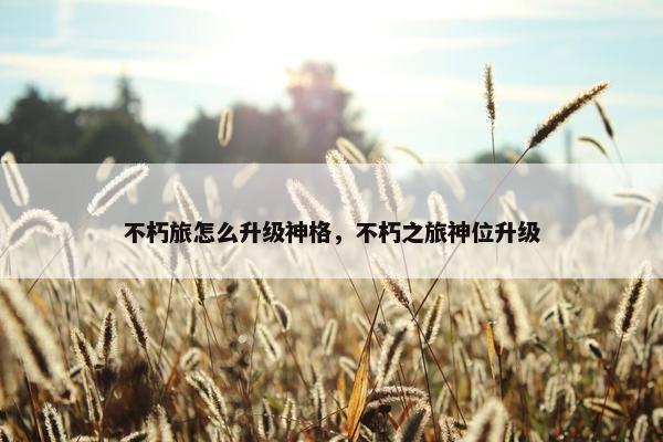 不朽旅怎么升级神格，不朽之旅神位升级