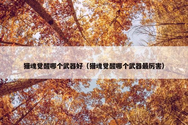 猎魂觉醒哪个武器好（猎魂觉醒哪个武器最厉害）