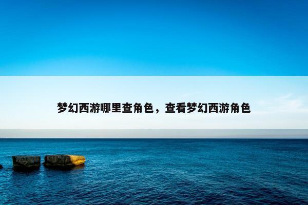 梦幻西游哪里查角色，查看梦幻西游角色