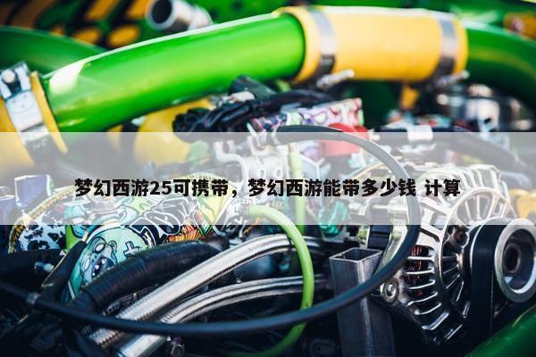 梦幻西游25可携带，梦幻西游能带多少钱 计算
