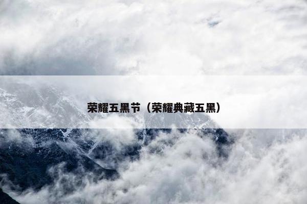 荣耀五黑节（荣耀典藏五黑）