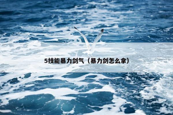 5技能暴力剑气（暴力剑怎么拿）