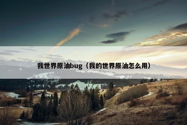 我世界原油bug（我的世界原油怎么用）