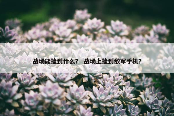 战场能捡到什么？ 战场上捡到敌军手机？