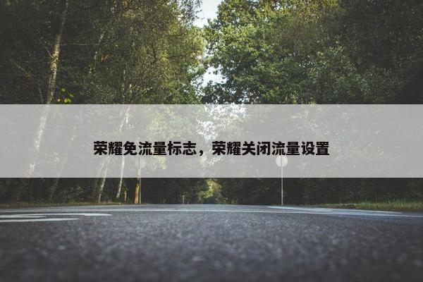 荣耀免流量标志，荣耀关闭流量设置