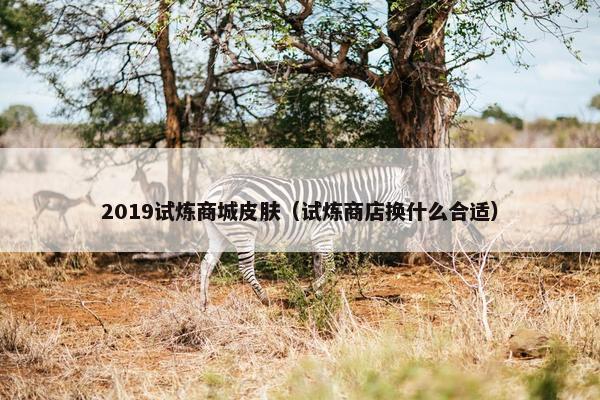 2019试炼商城皮肤（试炼商店换什么合适）