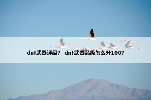 dnf武器评级？ dnf武器品级怎么升100？