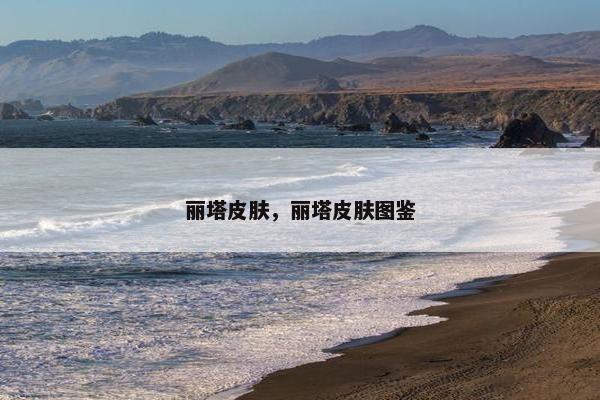 丽塔皮肤，丽塔皮肤图鉴