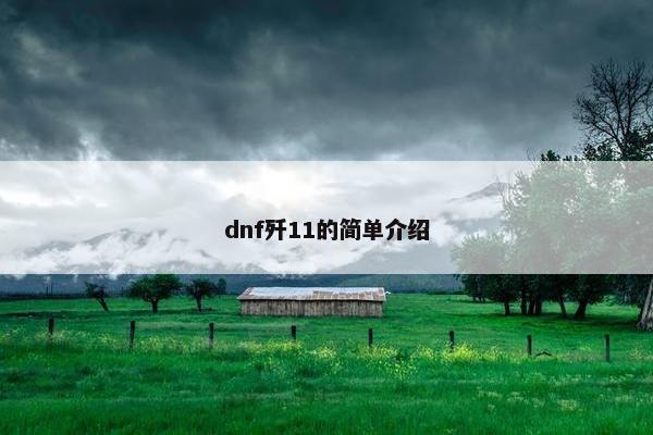 dnf歼11的简单介绍