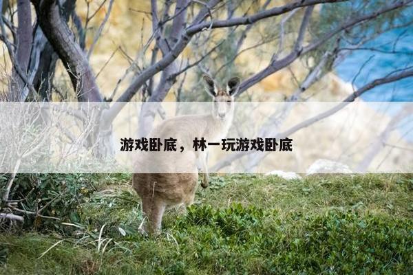 游戏卧底，林一玩游戏卧底