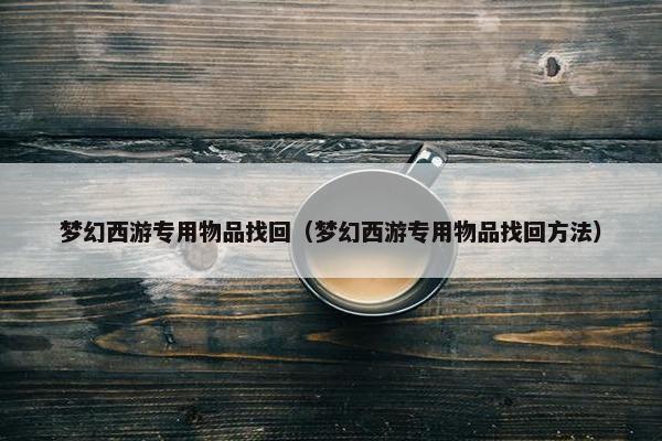 梦幻西游专用物品找回（梦幻西游专用物品找回方法）