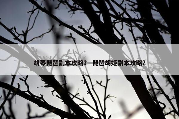 胡琴琵琶副本攻略？ 琵琶胡姬副本攻略？