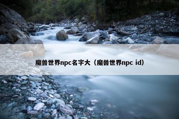 魔兽世界npc名字大（魔兽世界npc id）