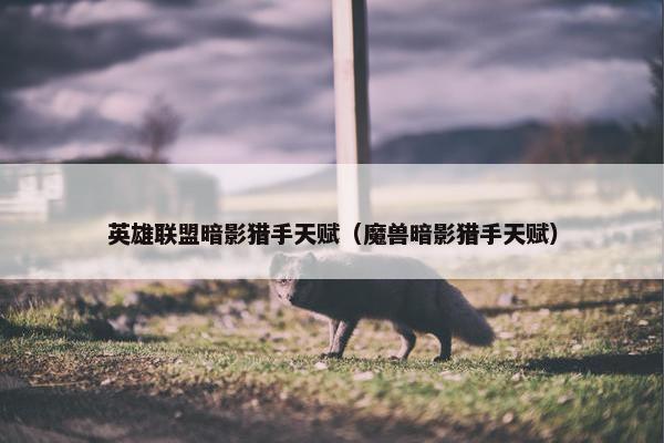 英雄联盟暗影猎手天赋（魔兽暗影猎手天赋）