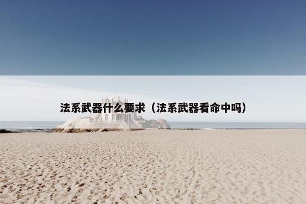 法系武器什么要求（法系武器看命中吗）