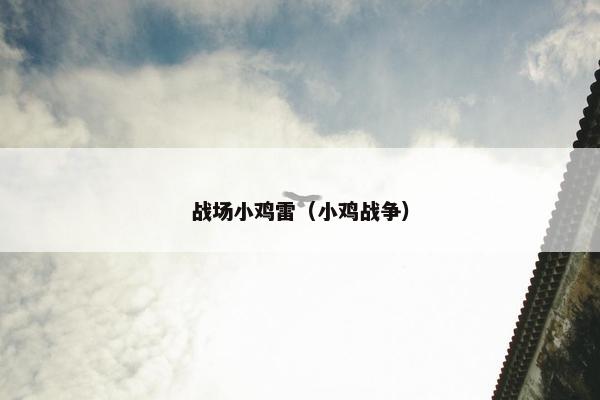 战场小鸡雷（小鸡战争）