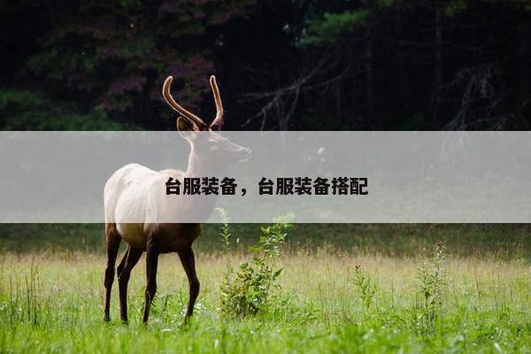 台服装备，台服装备搭配
