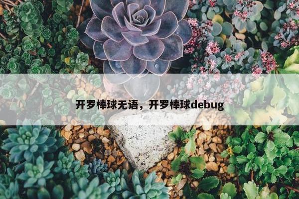 开罗棒球无语，开罗棒球debug